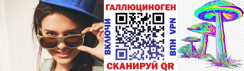 shop наркотические препараты  Катайск  Псилоцибиновые грибы Psilocybine cubensis 